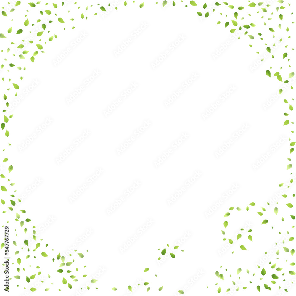 Leaves Green Falling Flying Foliage Leaf Tea Mint Leaves Green Falling Flying Foliage Leaf Tea Mint