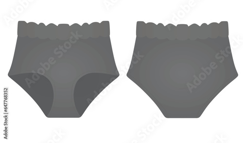 Grey  female panties knickers. vector