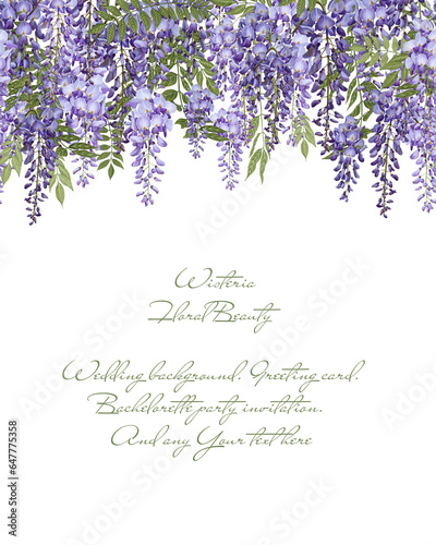 Fototapeta Naklejka Na Ścianę i Meble -  Wisteria flower background. Violet floral card. Invitation card. Watercolor Wisteria liana on white