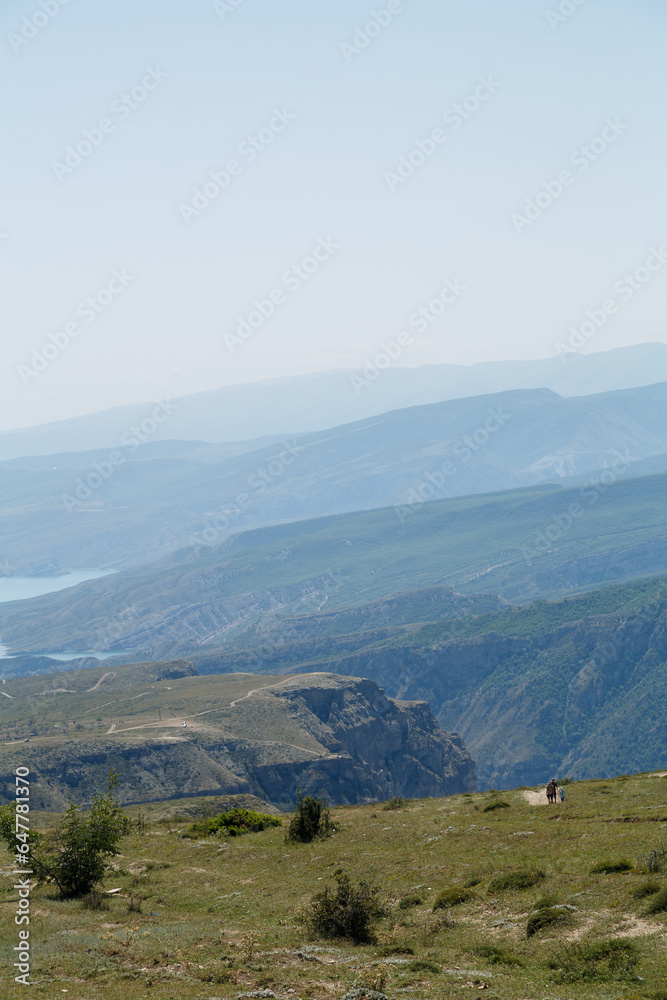 Obraz premium Mountains covered with vegetation in a haze on a sunny day. Vertical photo