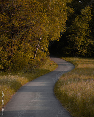 Weg durch den Herbstwald