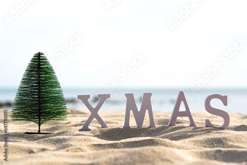 Small Christmas tree with XMAS symbol on the sandy seashore on a sunny day