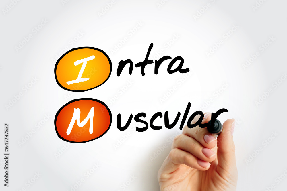 IM Intramuscular - injection of a substance into a muscle, acronym text concept background