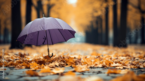 opened purple umbrella  earthy brown  rustic orange  and golden leaves