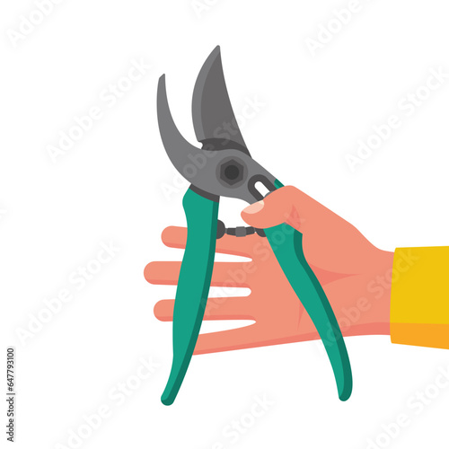 Hand holding opened secateurs isolated on white background. Gardener pruning currant in garden. Scissors for trimming branches. Vector illustration flat design.