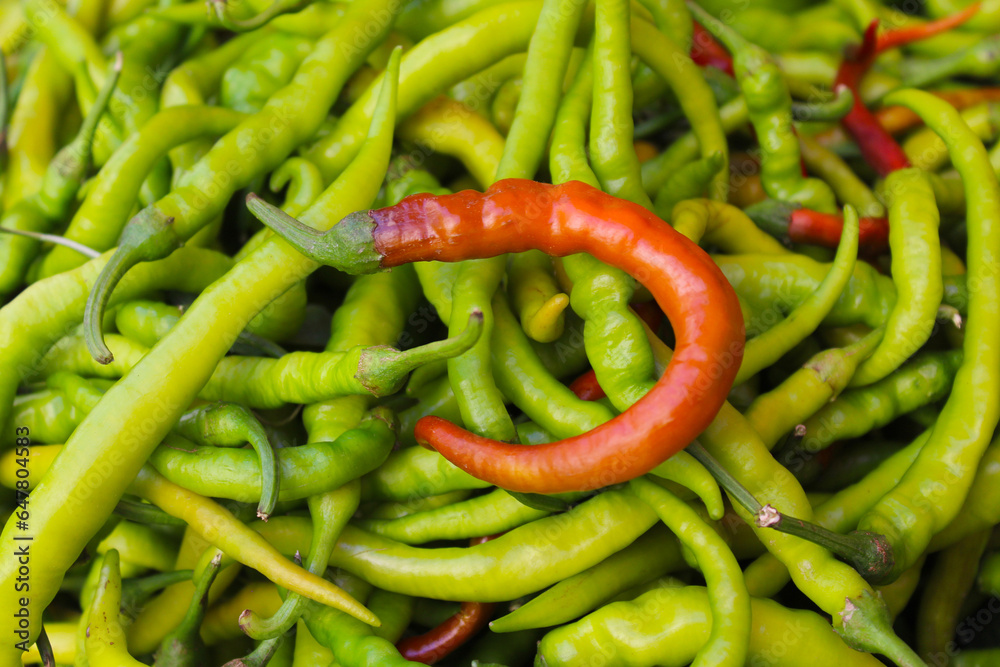 red and green chili peppers red and green chili peppers