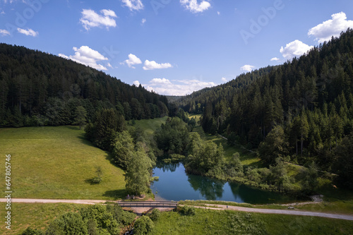Märtesweiher im Schwarzwald
