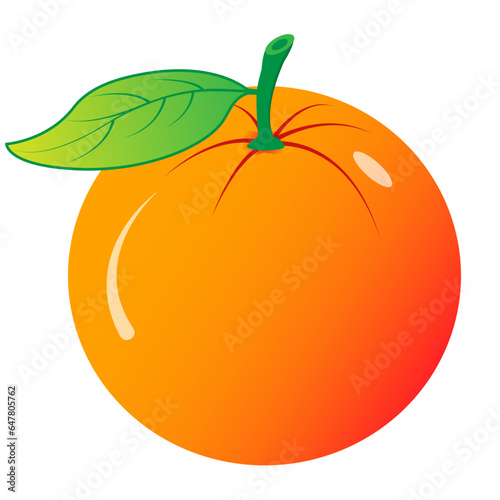 illustration of an orange fruit