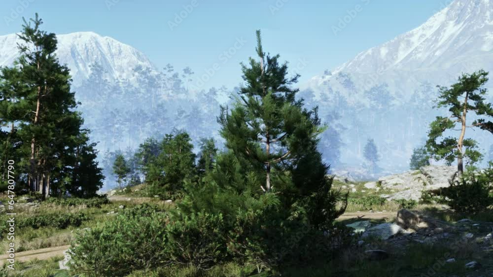 Rocky precipice with a dense pine forest Rocky precipice with a dense pine forest