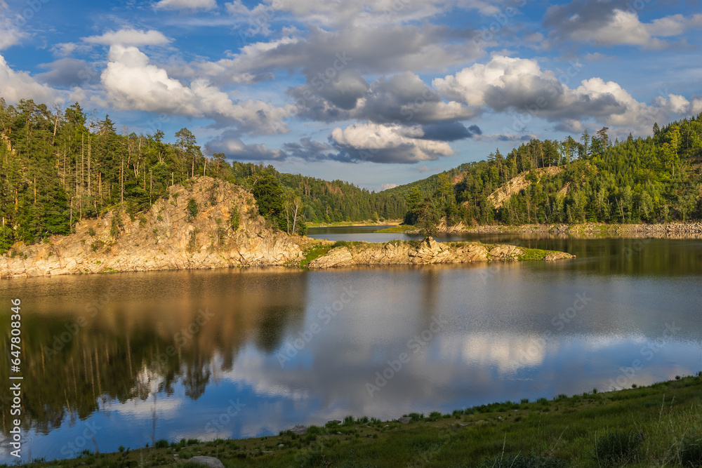 Beautiful landscape. Vir Dam Valley - Czech Republic Europe. Solitary tree Chudobinska pine - tree of the year approx. 300 years old.