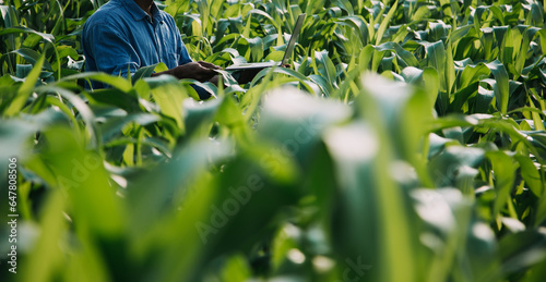 Photography Agriculturist utilize the core data network in the Internet from the mobile to validate, test, and select the new crop method