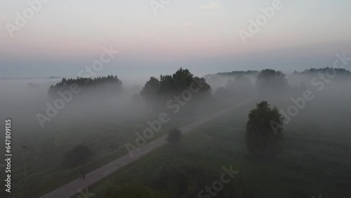 The early morning above the forest and fog