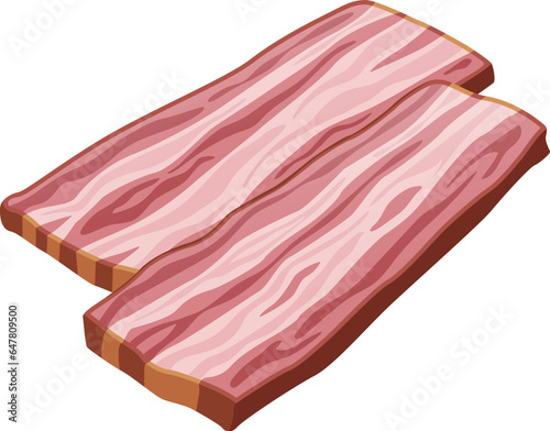 Two pieces of bacon. Vector illustration.