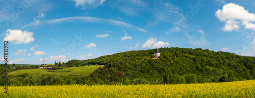 Spring rapeseed yellow blooming fields view, blue sky with clouds in sunlight panorama. Pyatnychany tower (defense structure, 15th century) on far hill slope. © wildman