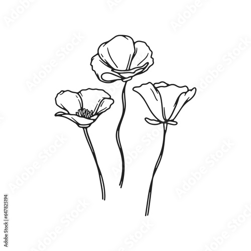 Poppy Flower, Poppy Outline, California Poppy, California Poppy Vector, Poppy Flower, Poppies Vector, Pretty Flower Vector, Golden Poppies, Vector Illustration Background