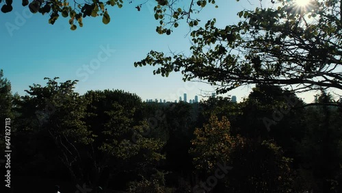 The city of Istanbul seen from the park area through the trees. Skyscrapers on the European side can be seen from the Asian side. Kavacık district and otağtepe grove. photo