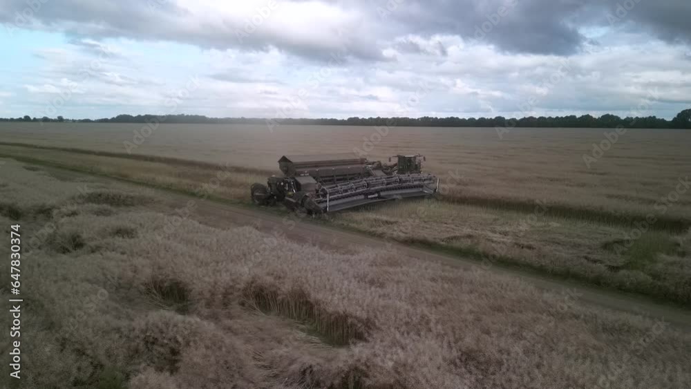 Modern Combine Harvester at canola harvest in Ukraine Modern Combine Harvester at canola harvest in Ukraine
