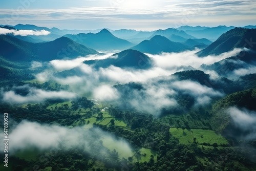 Foggy landscape in the jungle. Fog and cloud mountain