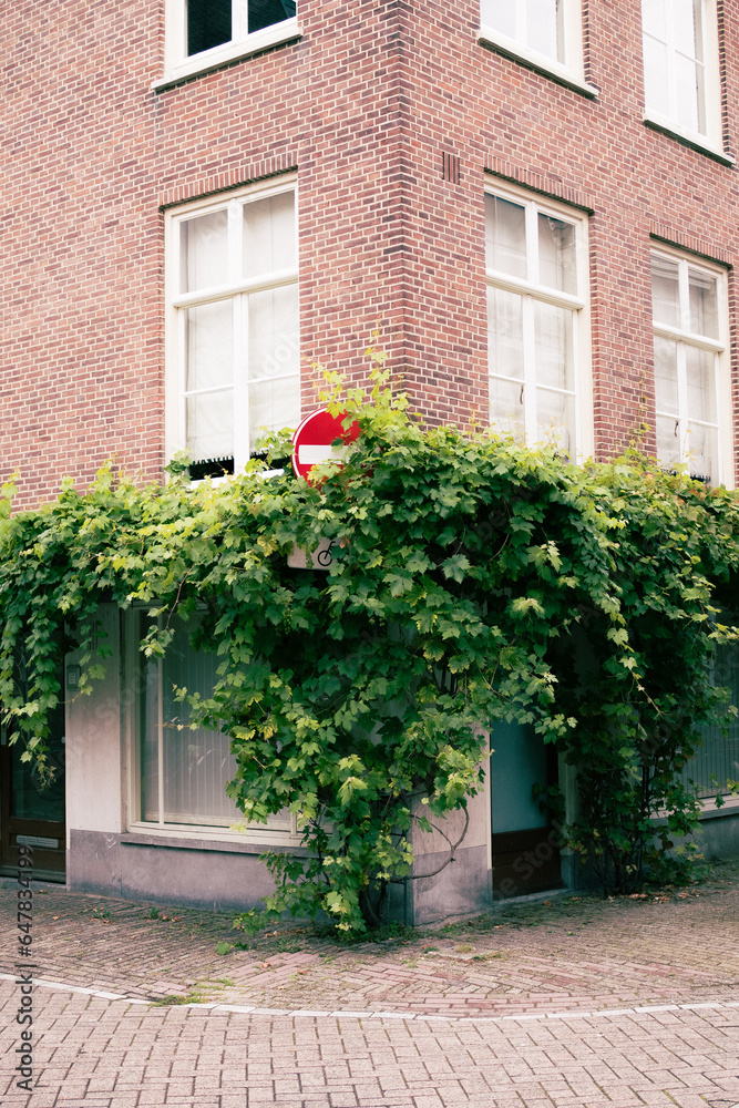 immeuble fleuri à Amsterdam