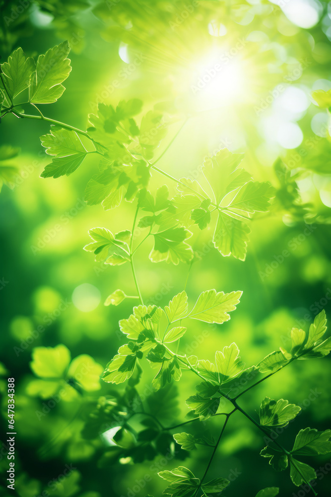 An abstract green nature background