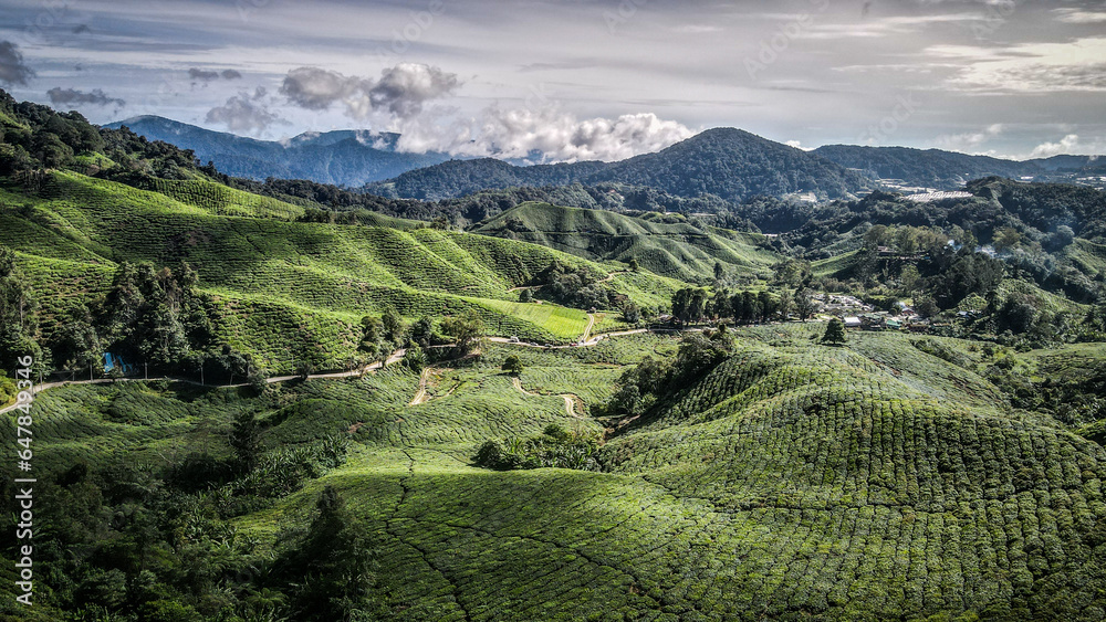 The aerial view of Cameron Highlands in Malaysia
