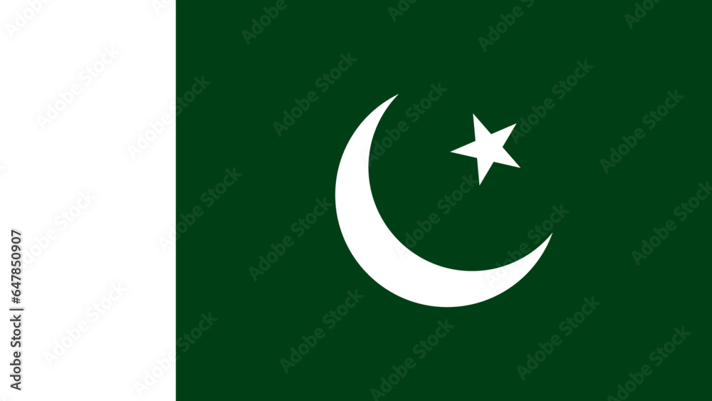 Pakistan Flag Illustration Pakistan Flag Illustration