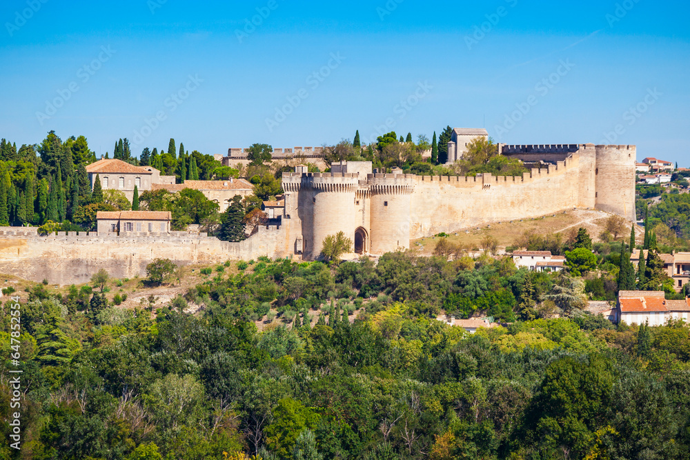Fort Saint Andre in Avignon