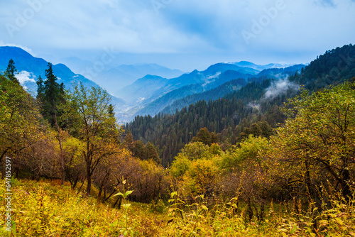Forested mountain in mist scenic landscape