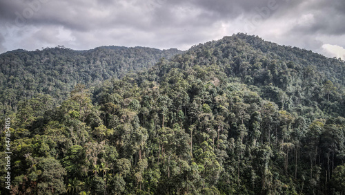 The aerial view of Taman Negara in Malaysia