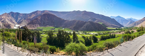 Weinfelder in Chile, Valle de Elqui
