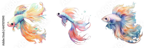 Png Set Gorgeous guppy with stunning physique and tail transparent background © 2rogan