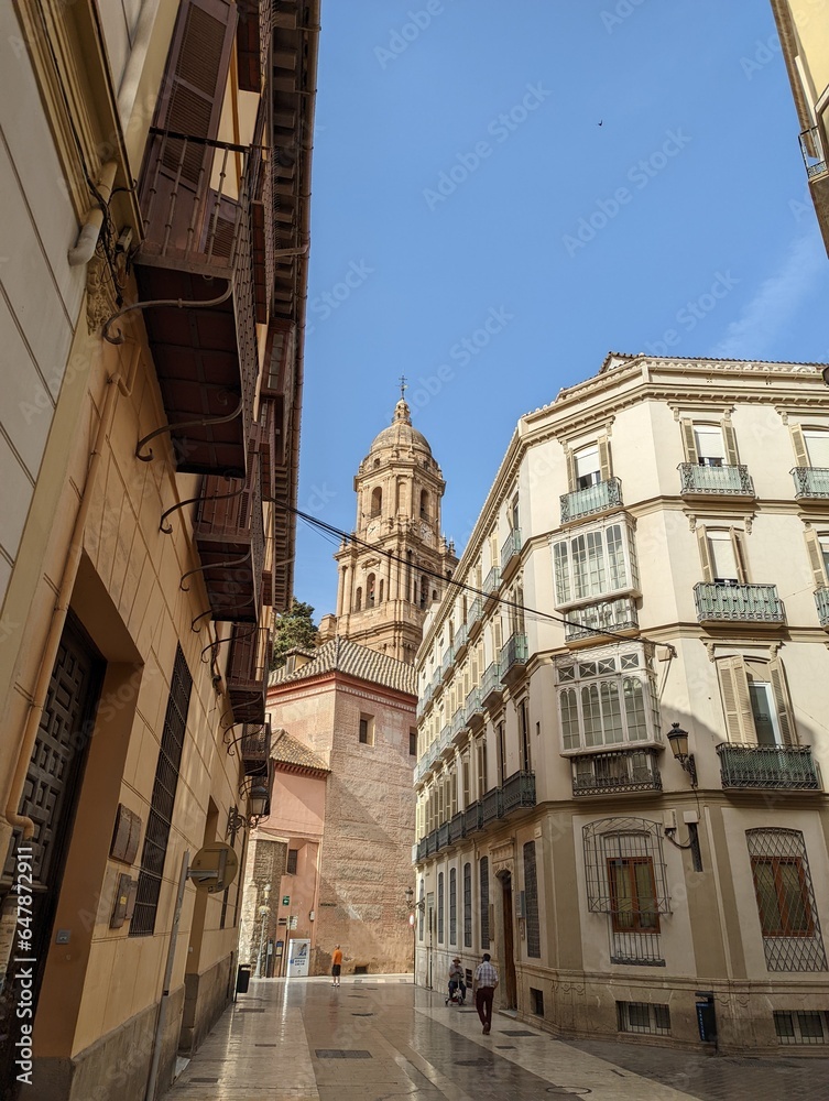 Fototapeta premium Catedral de la Encarnación de Málaga between an alley