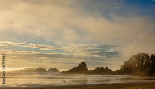 A lonely surfer sitting on his surf board on the beach in Tofino, Vancouver island, Canada