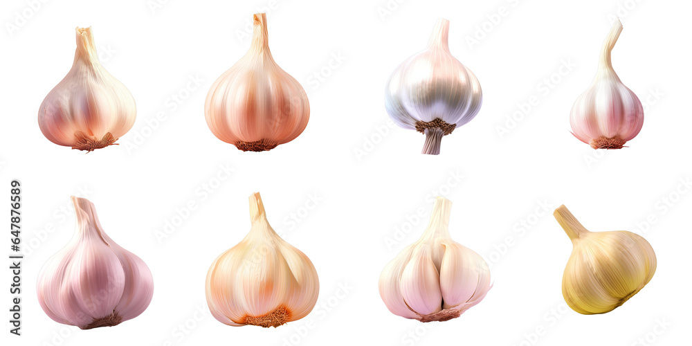 Png Set Close up of a garlic bulb transparent background Png Set Close up of a garlic bulb transparent background