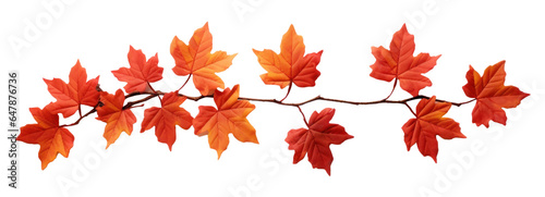 Autumn maple branch with red-brown dry leaves  png file of isolated cutout object on transparent background.