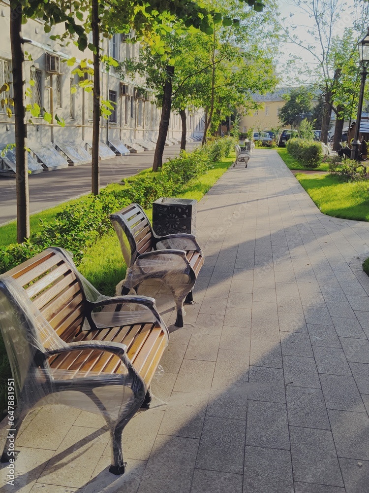 Alley with new benches. A square near a residential building with pedestrian paths, lawns and flower beds. Summer morning in a residential area of the city. Landscaping and greening of city streets