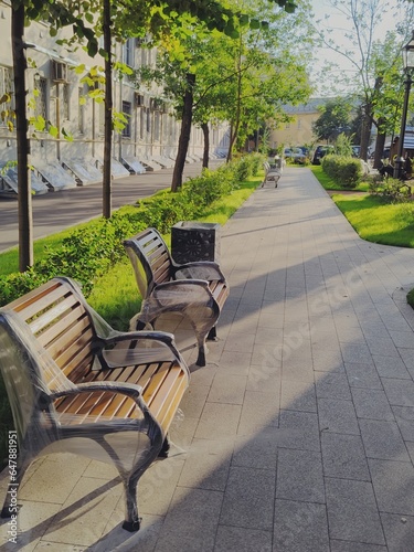 Alley with new benches. A square near a residential building with pedestrian paths, lawns and flower beds. Summer morning in a residential area of the city. Landscaping and greening of city streets © Studenkova