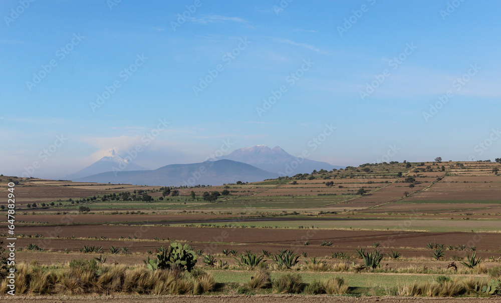 Fototapeta premium Paisaje con volcanes de fondo, nopales, magueyes, pasto y tierras para cultivo. 