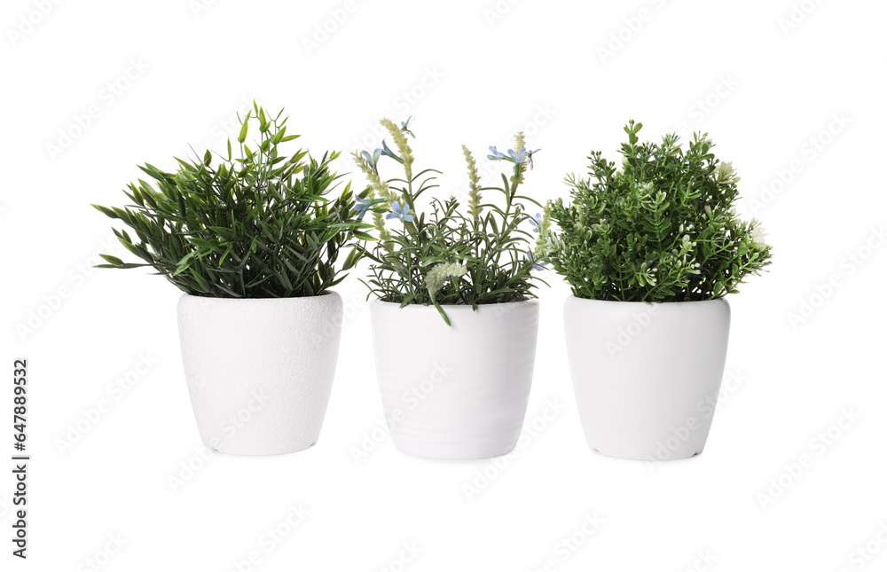Artificial potted herbs on white background. Home decor Artificial potted herbs on white background. Home decor