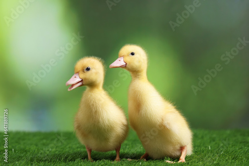Cute fluffy ducklings on artificial grass against blurred background, closeup. Baby animals