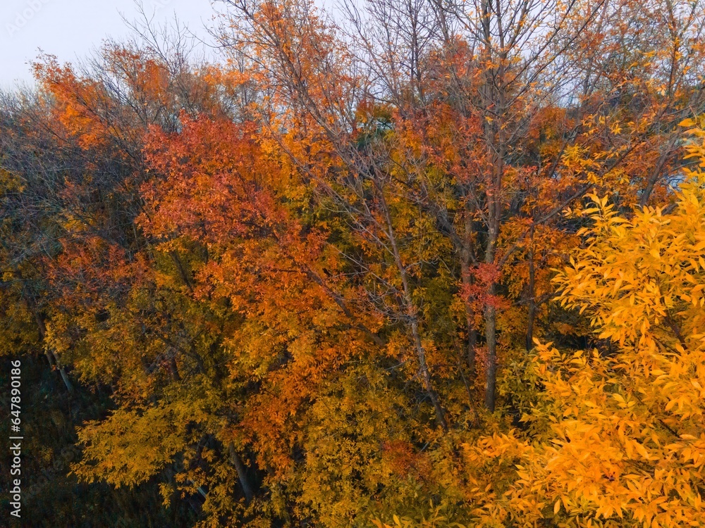 Autumn Wisconsin in USA