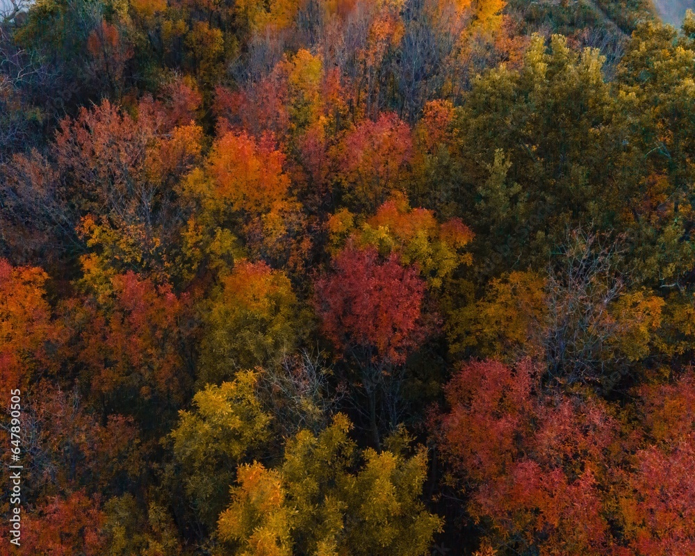Autumn Wisconsin in USA Autumn Wisconsin in USA