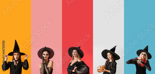Group of scary witches on color background