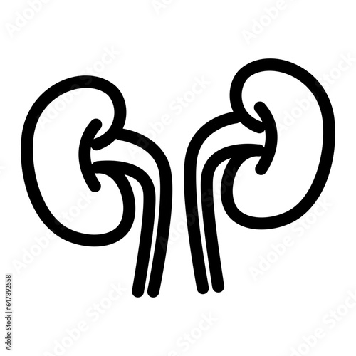 Kidney Icon