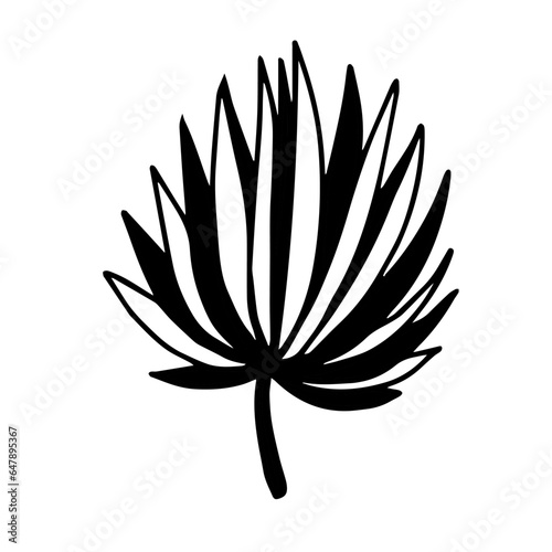 Plant vector silhouette , clip art, and symbol. Shilhouette of leaf concept and simple design