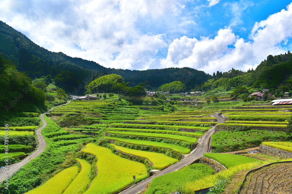 井仁の棚田　広島