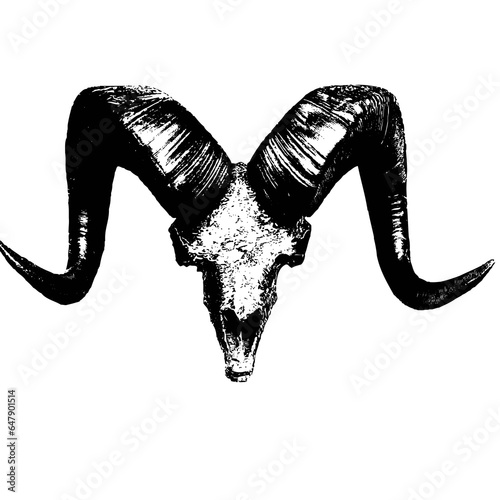 bull silhouette