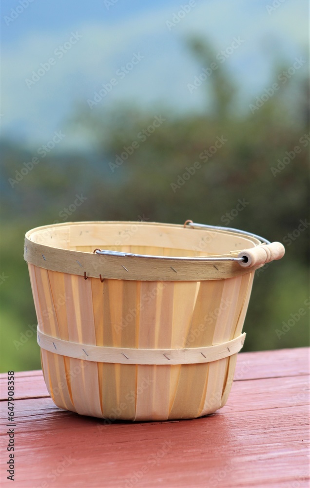 Basket for apple picking during a sunny day in autumn Basket for apple picking during a sunny day in autumn