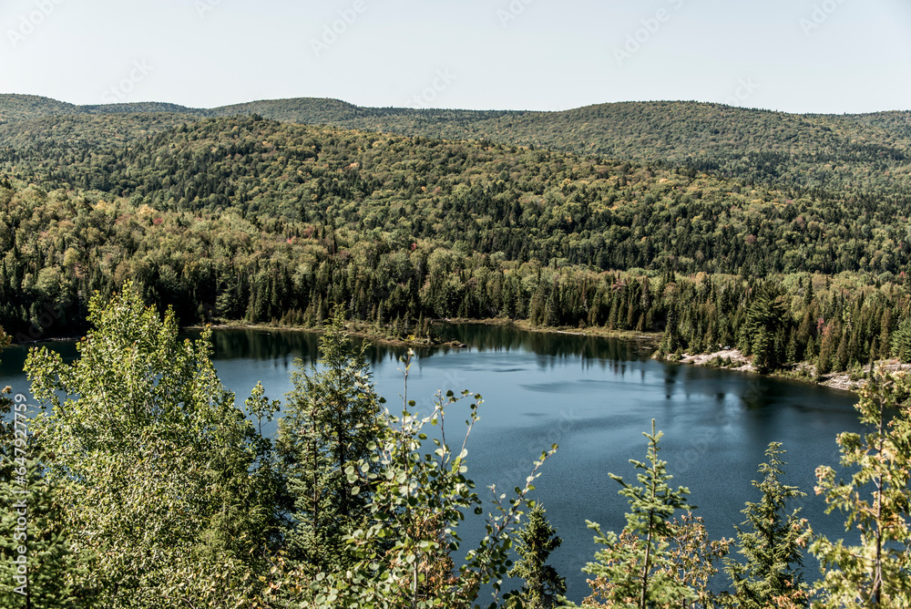 View on the Forest near lake in La Mauricie National Park Quebec, Canada on a beautiful day