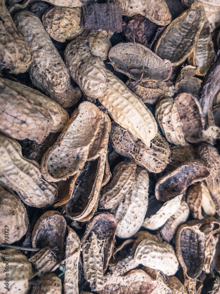 waste peanuts, peanut shells waste peanuts, peanut shells